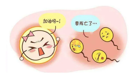 弱精懷孕了會影響胚胎質量嗎