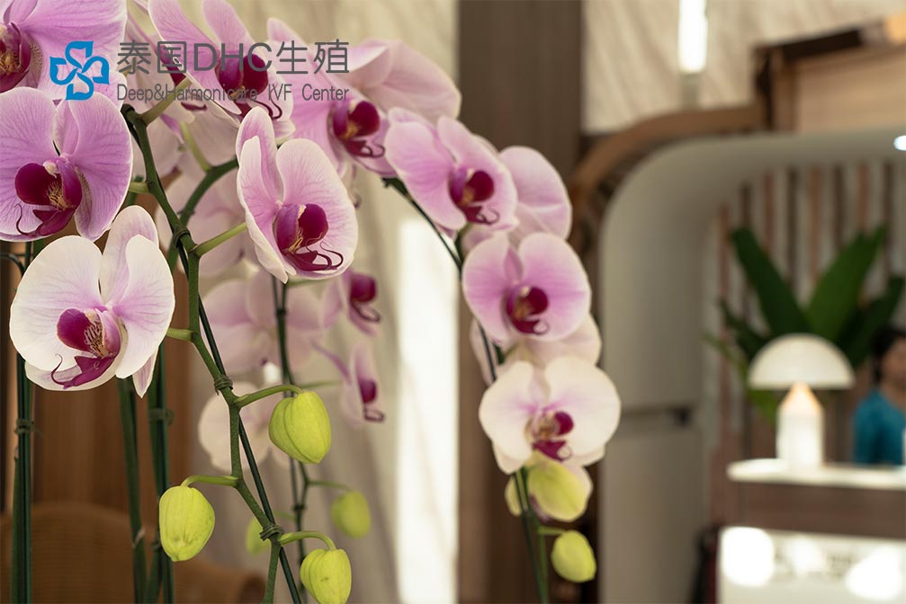 常德第一人民醫(yī)院試管成功率怎么樣？