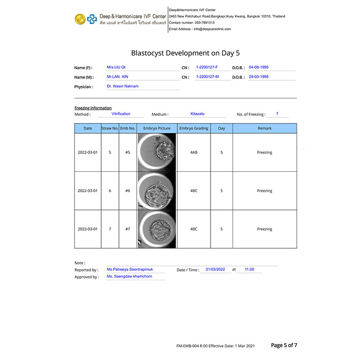 囊盤檢查 囊盤檢查