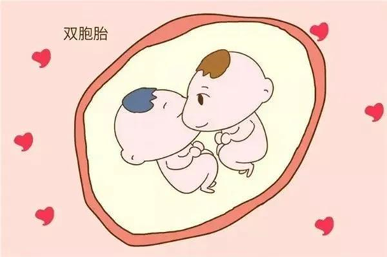 做泰國試管嬰兒雙胞胎的風(fēng)險大嗎?
