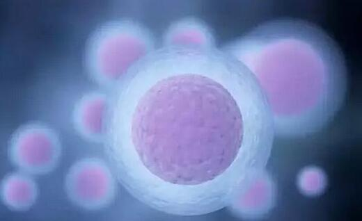 泰國試管胚胎移植疼嗎？