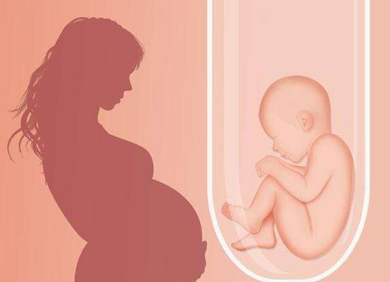 泰國試管嬰兒比中國好嗎？