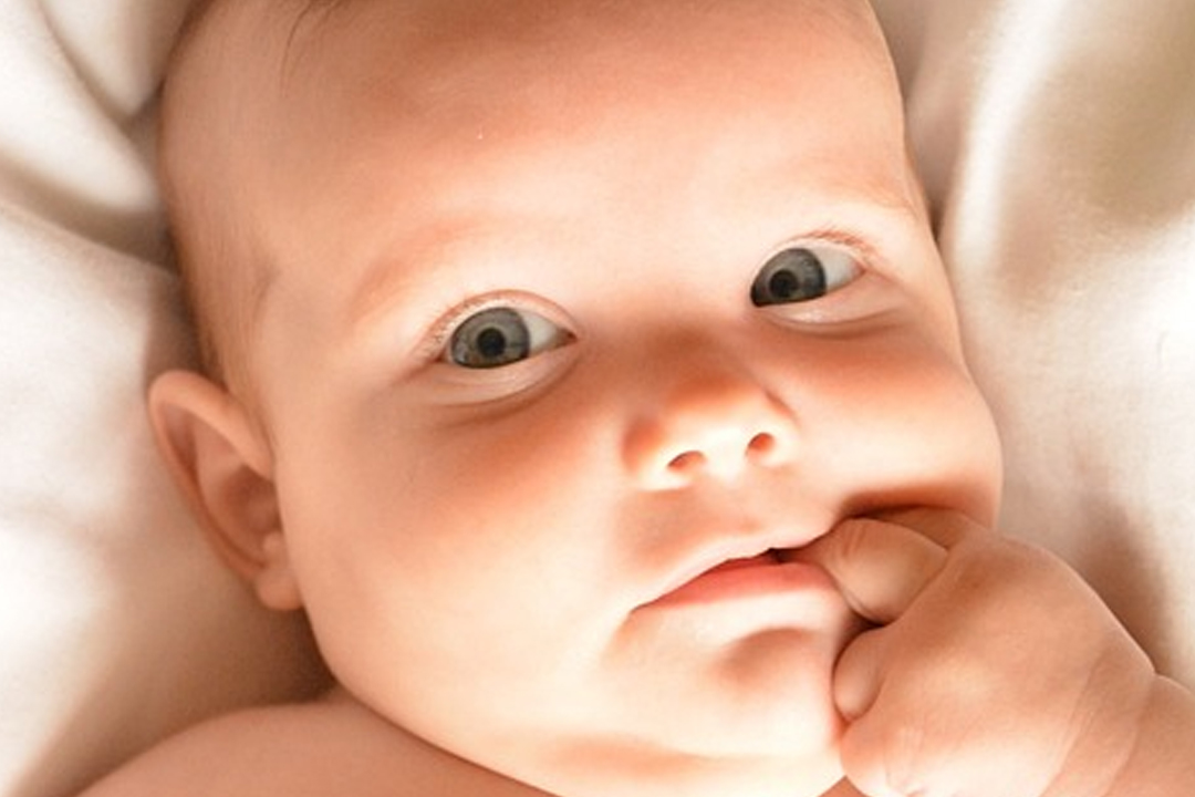 做試管嬰兒前吃什么能促進卵泡長大？促進卵泡吃什么好？