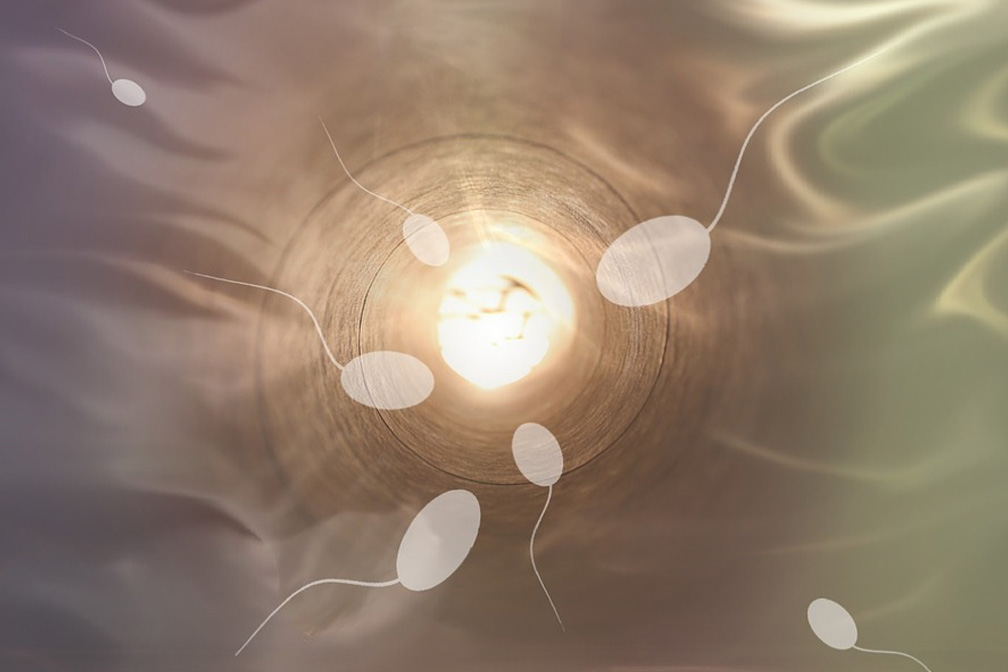 凍卵后最晚什么時候適合生孩子？凍卵生子最大年齡