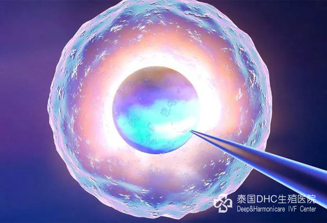 配圖 (146) 配圖 (146)