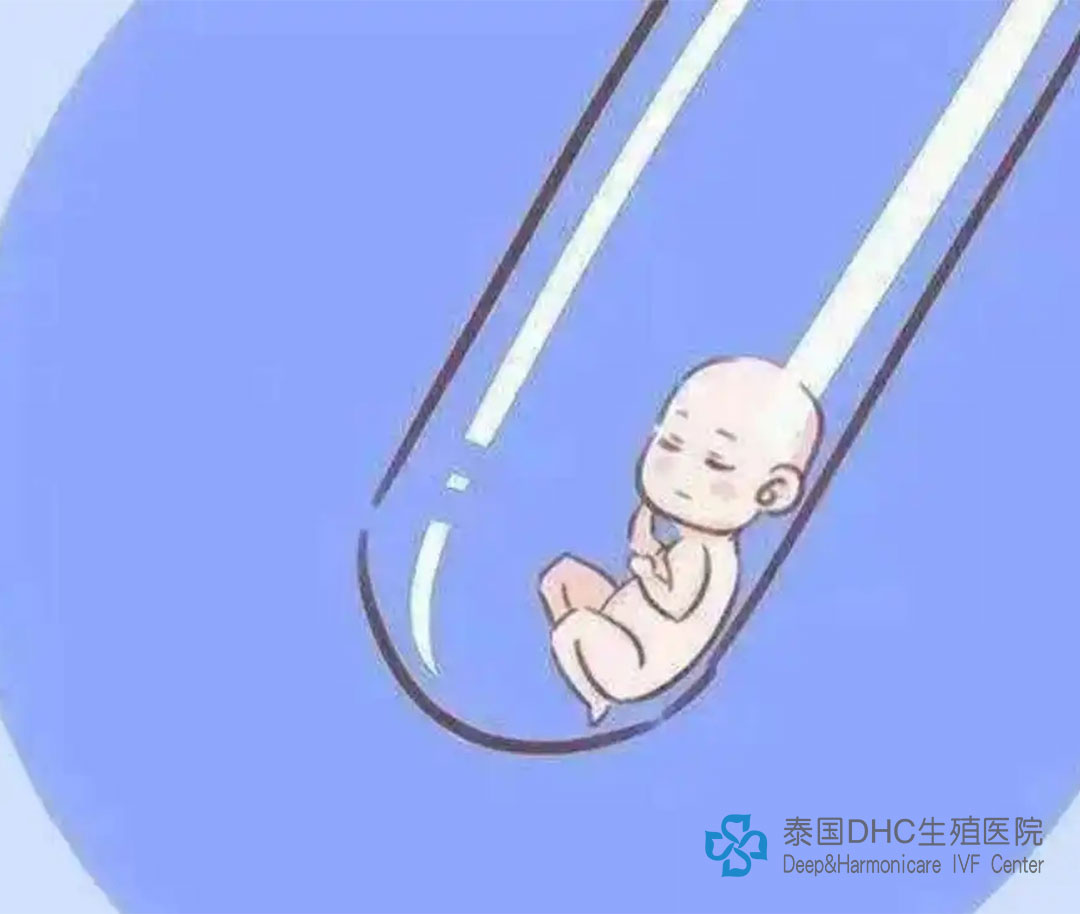 泰國(guó)DHC：泰國(guó)試管專機(jī)——生命的接力賽