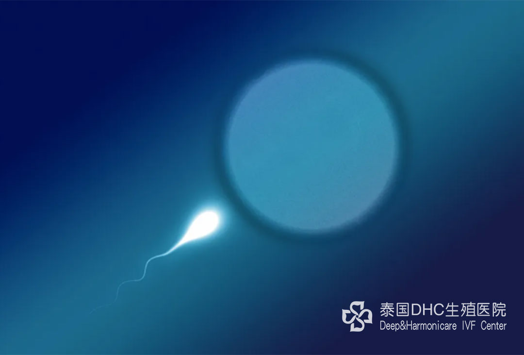 配圖 (29) 配圖 (29)