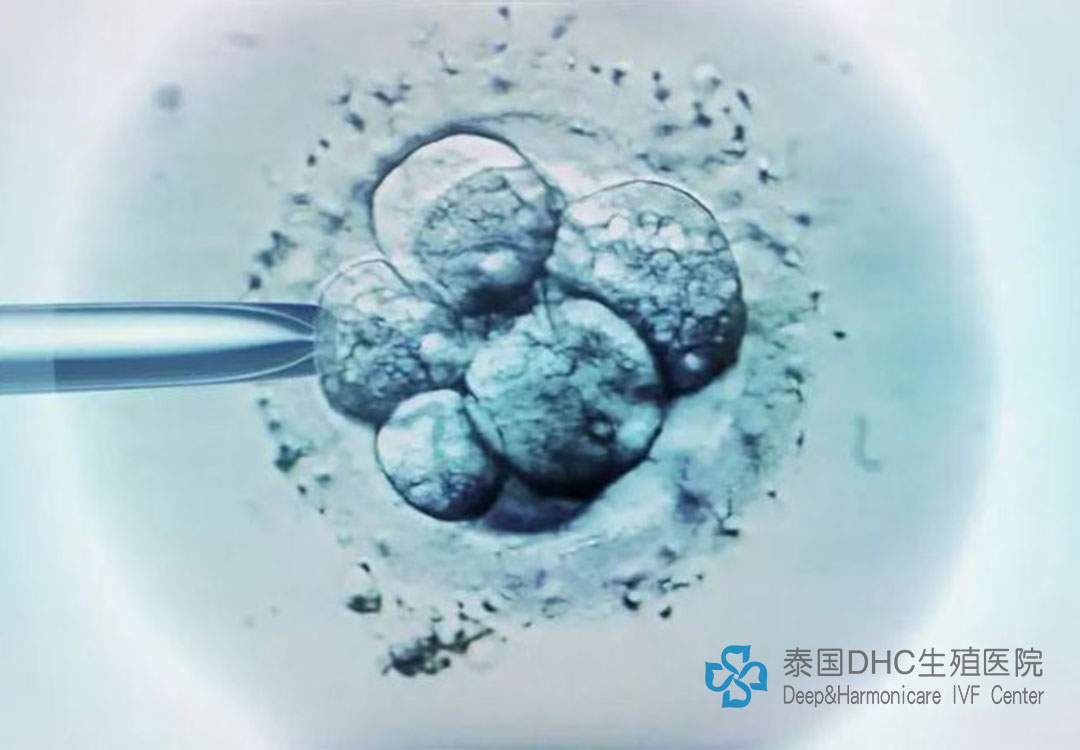 配圖(31).jpg 配圖(31).jpg