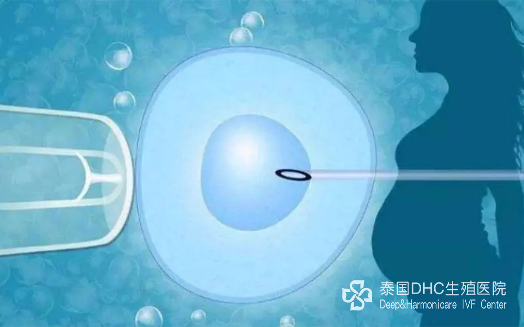 配圖 (97) 配圖 (97)