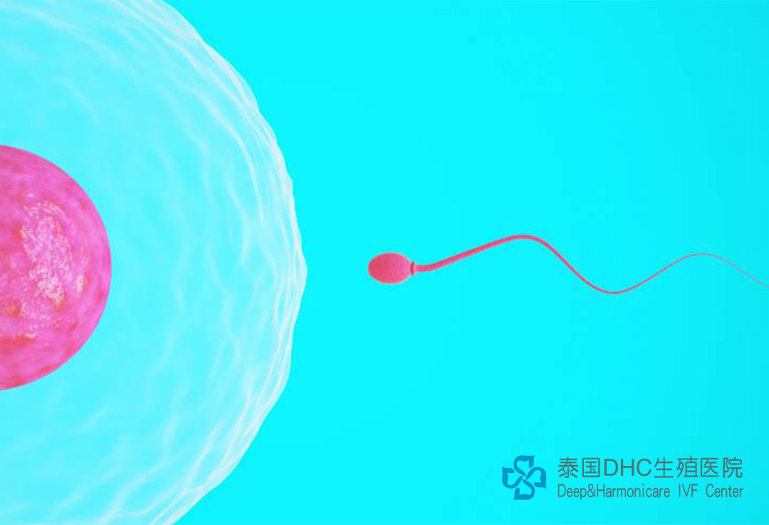 配圖 (55) 配圖 (55)