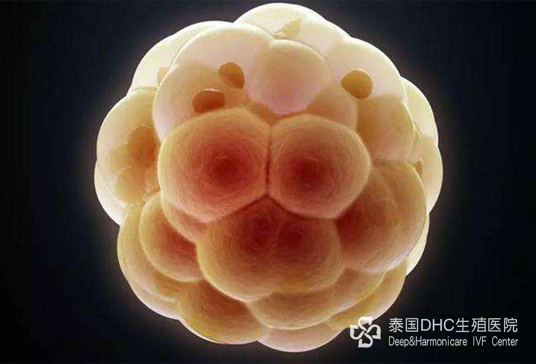 配圖 (86) 配圖 (86)