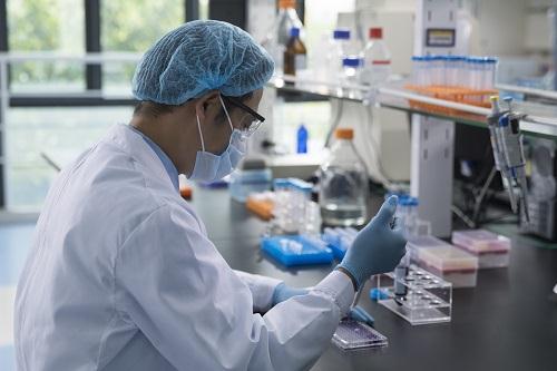 親子鑒定多少錢一次2024年？正規(guī)親子鑒定收費(fèi)標(biāo)準(zhǔn)