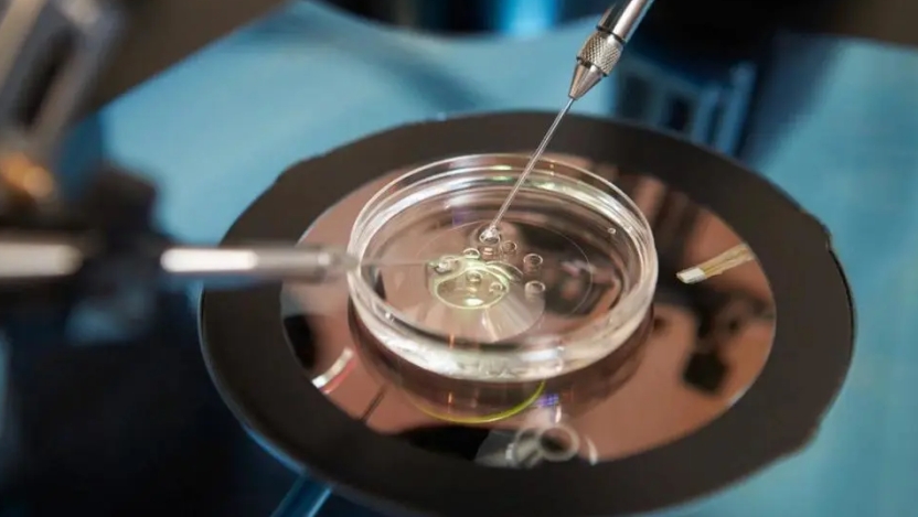 試管嬰兒進入周期是什么意思？試管嬰兒進周期后的流程