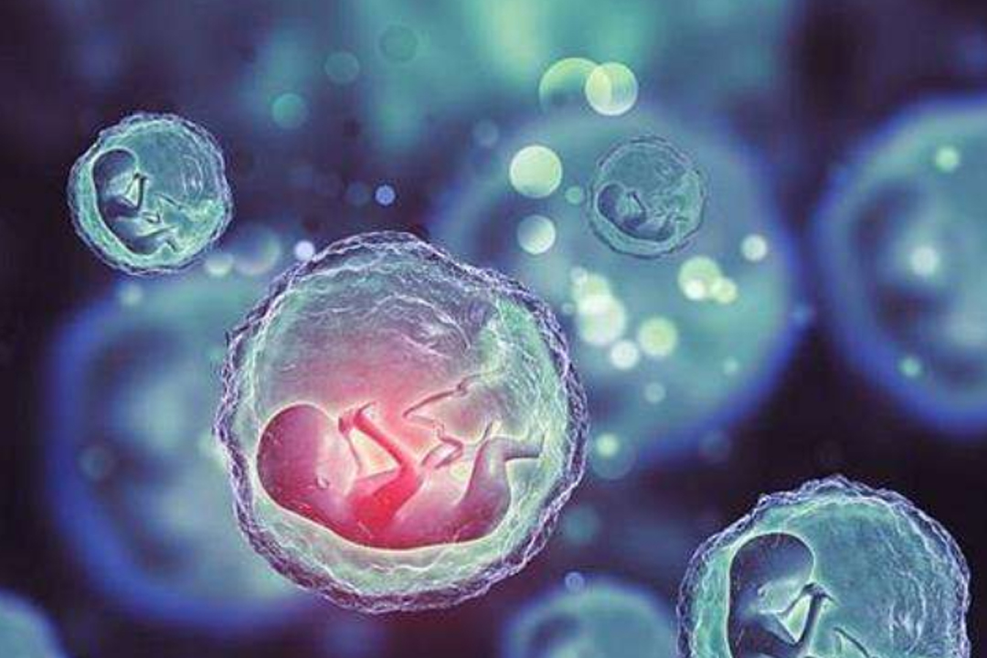 泰國三代試管嬰兒怎么選對醫(yī)院？泰國試管嬰兒醫(yī)院推薦