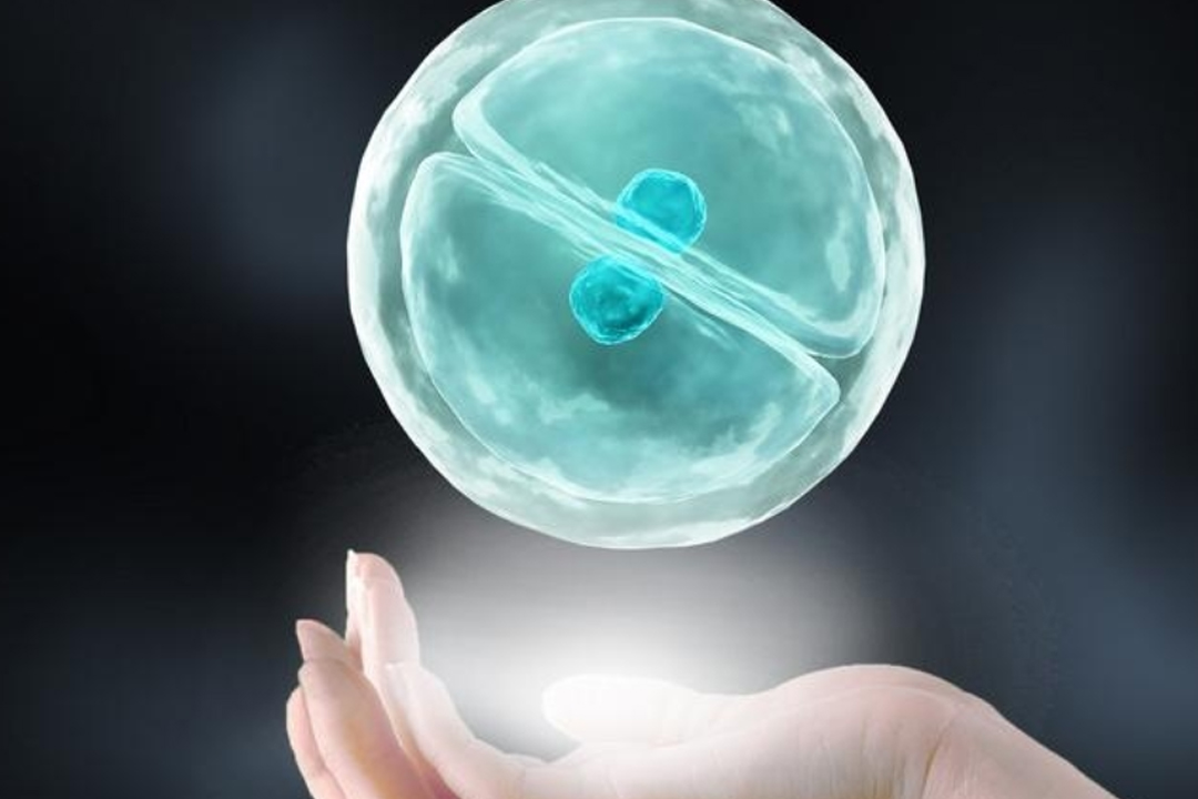 試管嬰兒胚胎移植的具體流程和注意事項(xiàng)