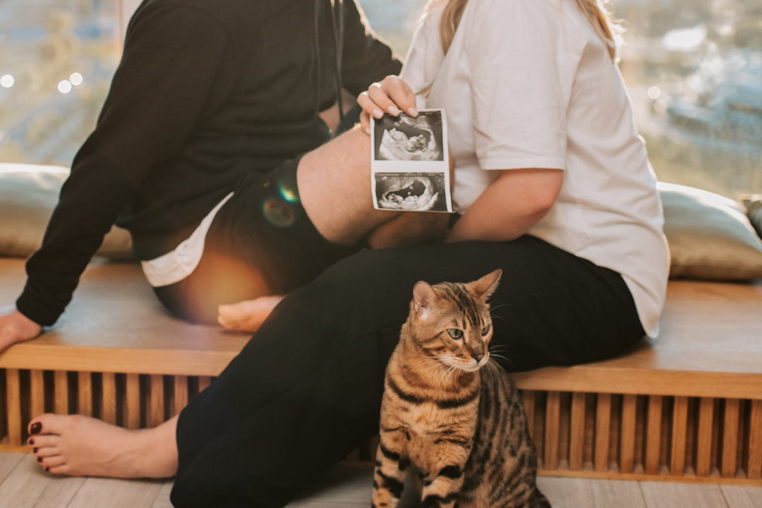 夫婦和胎兒照 夫婦和胎兒照