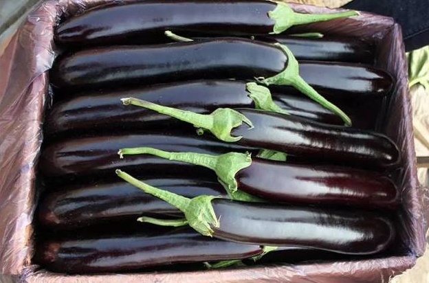 孕婦不能吃的蔬菜有哪些？孕婦禁忌蔬菜一覽表