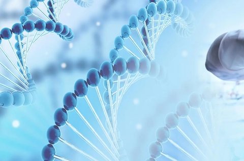 干細(xì)胞 干細(xì)胞