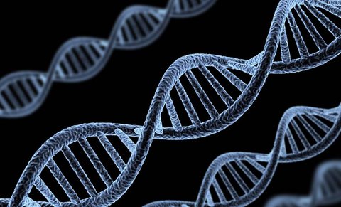 基因檢測為什么不能隨便做？這是為啥？