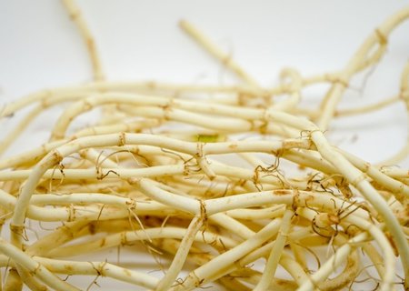 魚腥草哪些人群不宜吃？魚腥草不能和什么一起吃？