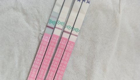 排卵試紙強(qiáng)陽(yáng)是排卵了還是沒(méi)排？排卵試紙強(qiáng)陽(yáng)后多久排卵？