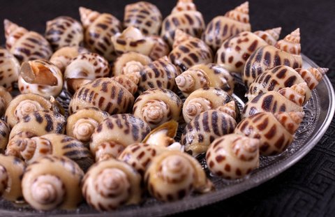 花螺要煮多久才熟？是冷水還是熱水？