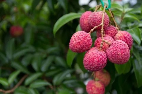 微信截圖_20240129160547_480x320 微信截圖_20240129160547_480x320