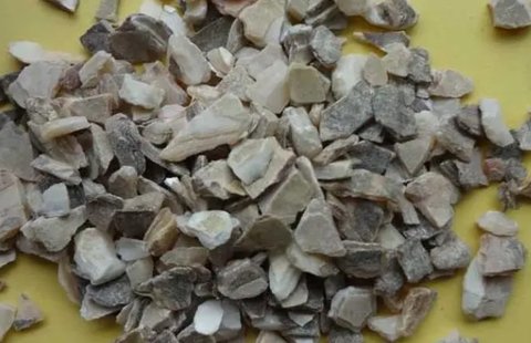 石決明怎么吃才有效？石決明的功效與作用