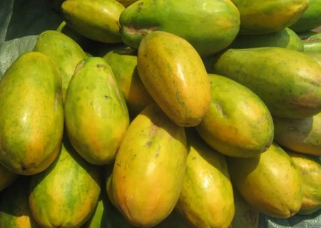 孕婦能吃木瓜嗎？孕婦吃木瓜的正確方法