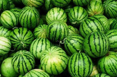 西瓜是堿性還是酸性食物？西瓜的食物性質(zhì)有哪些？