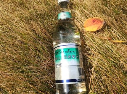 嶗山白花蛇草水怎么喝才好喝？嶗山白花蛇草水的主要功效