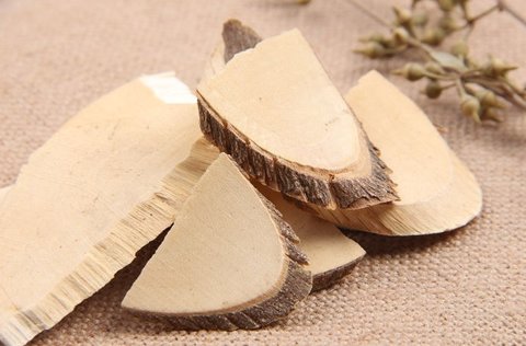 三叉苦可以治什么??？三叉苦的功效與作用