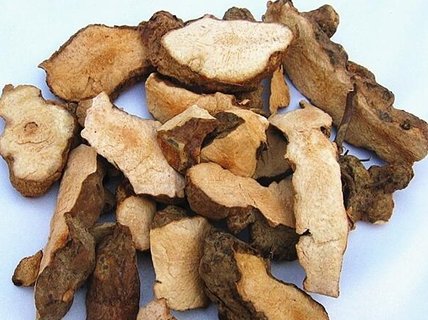 土茯苓對痛風(fēng)有作用嗎？土茯苓治療痛風(fēng)的用法與用量