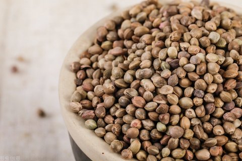 火麻仁怎么吃治便秘？火麻仁的功效作用與主治