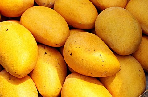 芒果含有哪些維生素？芒果的營養(yǎng)價值及功效與禁忌