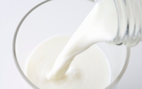 哪些人不宜喝駱駝奶粉？五種人不能喝駱駝奶