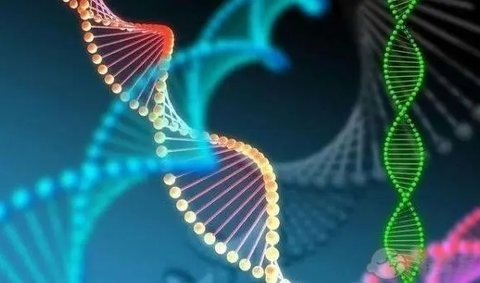 tuBB8基因突變能否懷孕？TUBB8突變是不是就不能懷孕了？