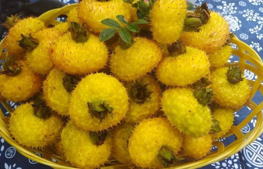 什么水果維生素c含量最高？水果中的維c之王