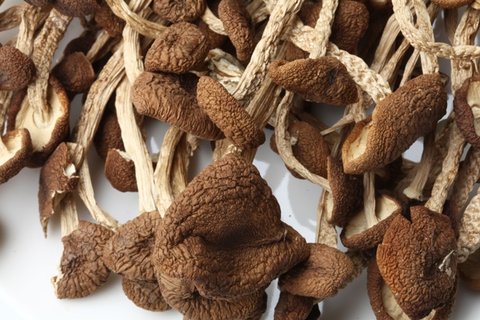 茶樹菇相克的食物有哪些？和茶樹菇相克的食物