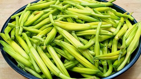 新鮮黃花菜怎么處理才能吃？新鮮黃花菜的處理方法和做法