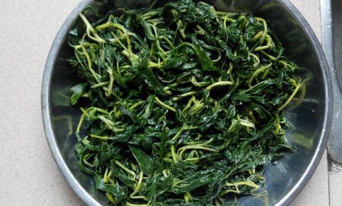 麻葉菜吃了有什么好處？麻葉菜的功效和作用禁忌