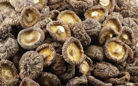 干香菇需要泡多長時間？干香菇泡發(fā)的正確方法和時間