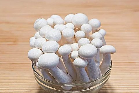 白玉菇和海鮮菇哪個好一些？白玉菇和海鮮菇的區(qū)別