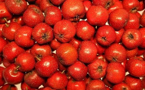 試管移植后哪些食物不能吃？試管移植后忌口一覽表