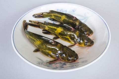 吃昂刺魚不能吃什么？吃昂刺魚的禁忌