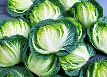 娃娃菜吃多了會胖嗎？100克娃娃菜的熱量