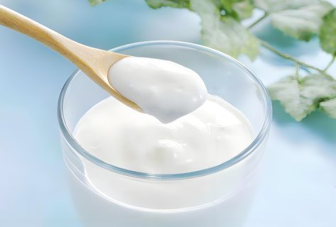 雪蓮菌怎么做酸奶好吃？雪蓮菌制作酸奶的方法