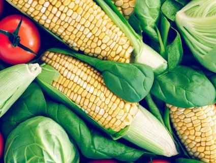 什么蔬菜促進(jìn)卵泡發(fā)育？促進(jìn)卵泡發(fā)育的蔬菜