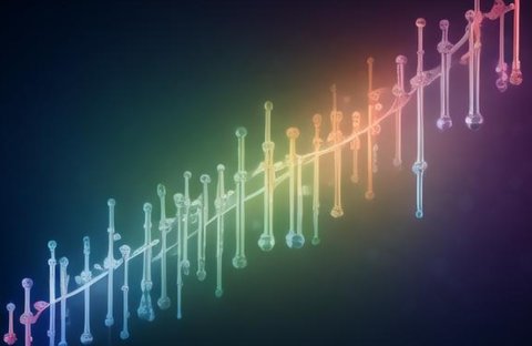 平衡易位攜帶者可以做試管嗎？平衡易位攜帶者做三代的成功率？