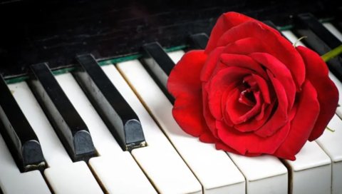 學(xué)鋼琴對(duì)孩子有什么幫助？學(xué)鋼琴的好處和重要性